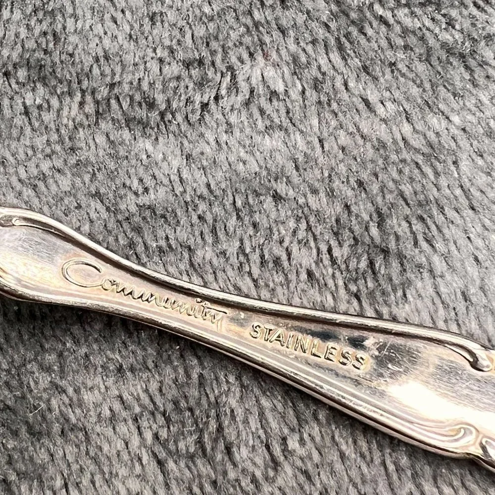 Oneida Community Cantata Stainless Flatware Lot Teaspoons Forks Soup Knife 32 pc